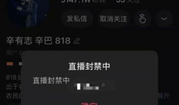 91se直播类似的的直播间,揭秘热门直播间背后的魅力与互动