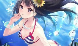 动漫泳衣女生,动漫中那些令人心动的泳衣女生